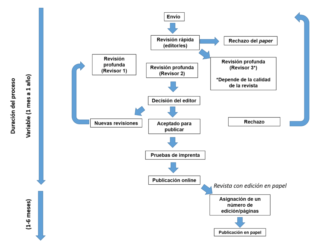 Proceso paper TFG TFM